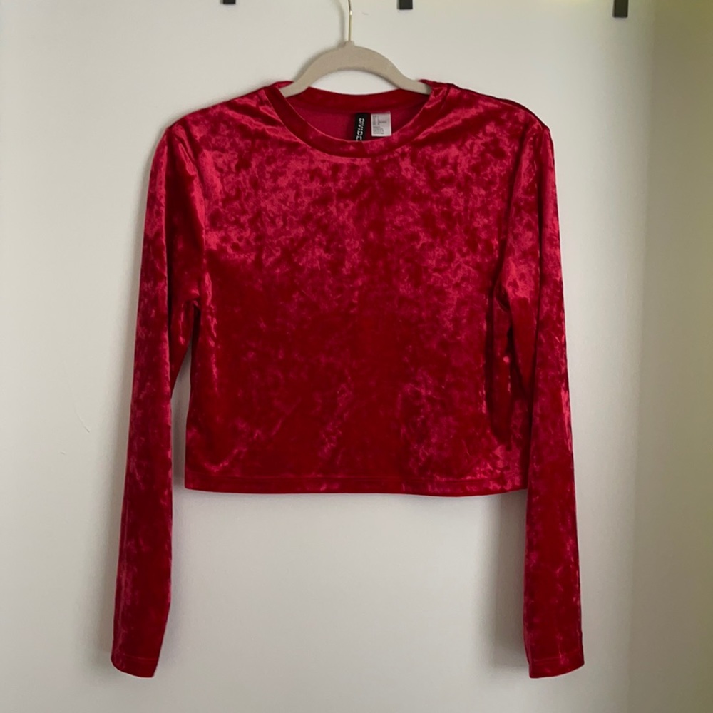 Long sleeve crop top